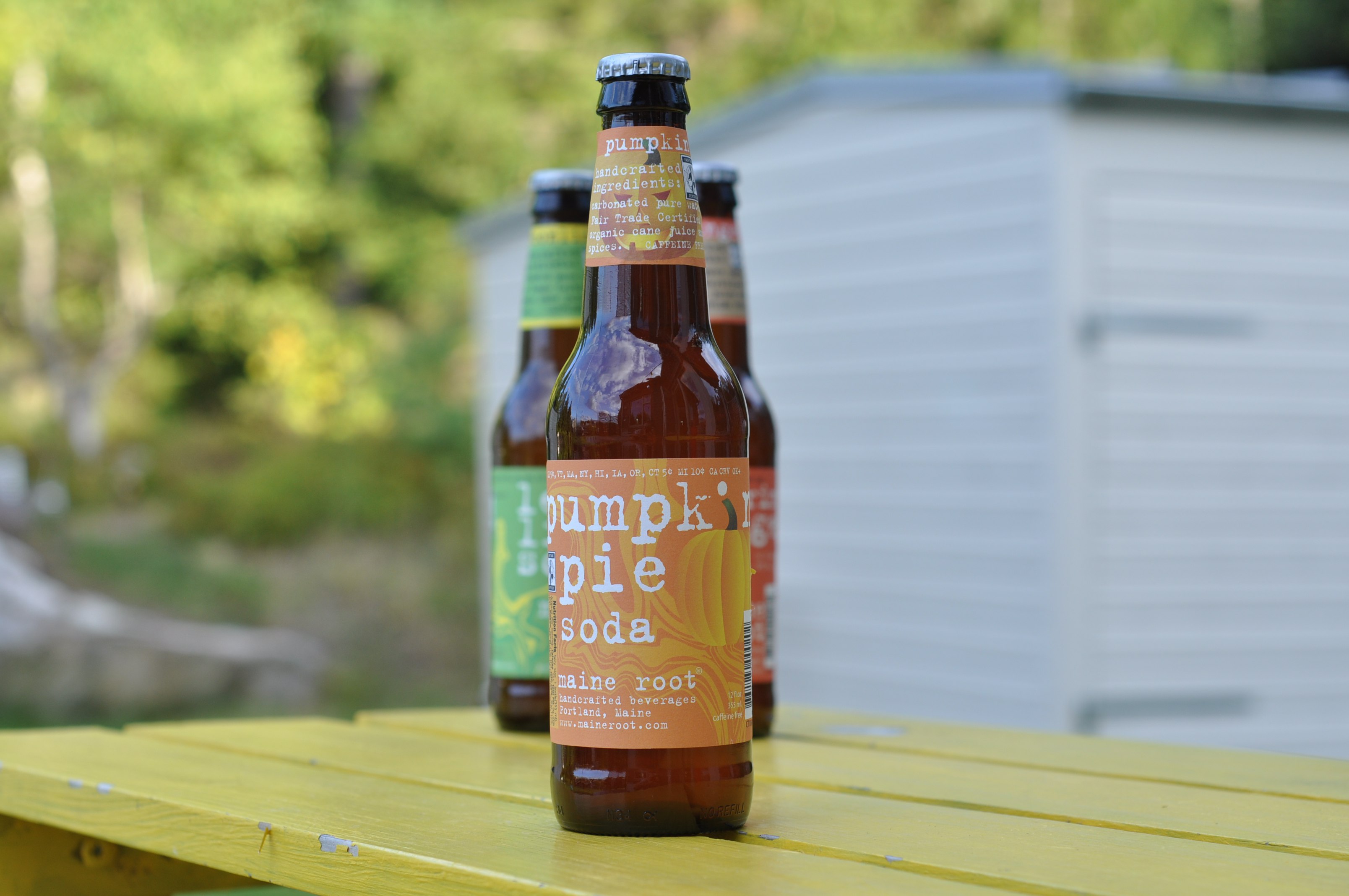 Maine Root Pumpkin Pie