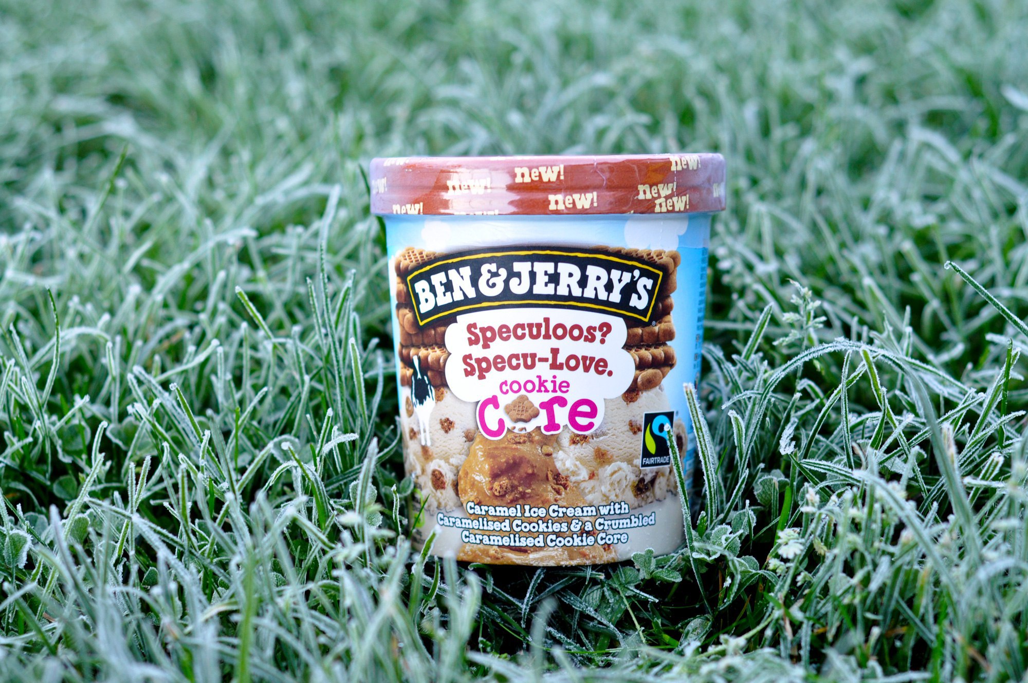 Ben & Jerry's Speculoos? Specu-Love Cookie Core