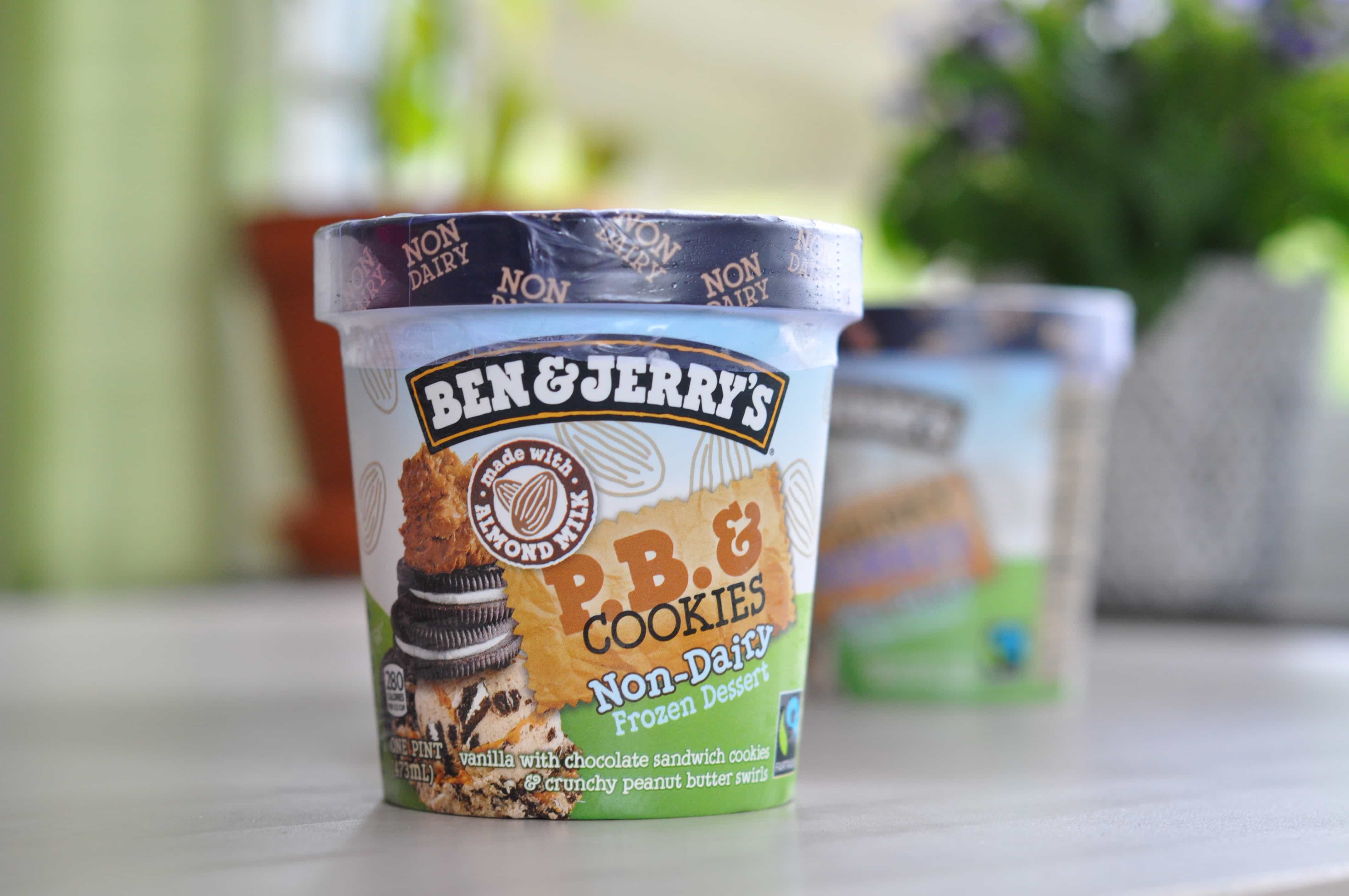 Ben & Jerry's Non-Dairy P.B & Cookies